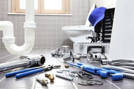 Best Garbage Disposal Repair and Installation  in Van Buren, MO